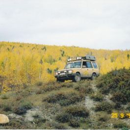 07