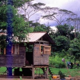 shop10